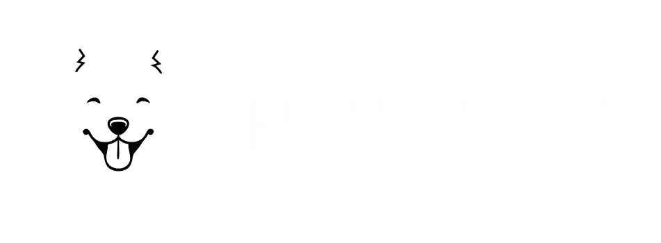 logo hau now białe
